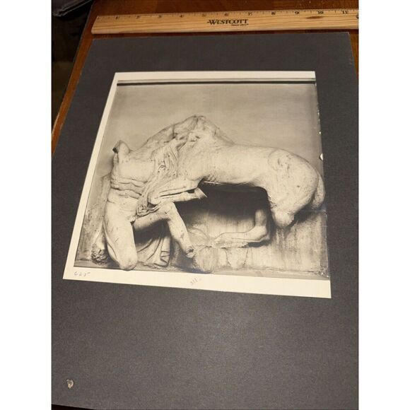 Antique Attic Greek Sculpture Metope from Parthenon Mounted Photo British Museum - Picture 1 of 4